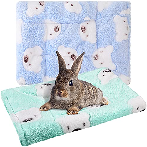 Jetec 2 Pieces Guinea Pig Bed Rabbit Bed Warm Small Animal Hamster Bunny Mats Winter Warm for Bunny Hamster Squirrel Hedgehog Chinchilla Small Animal Accessories(Green, Blue,Bear Pattern) - color: Green, Blue