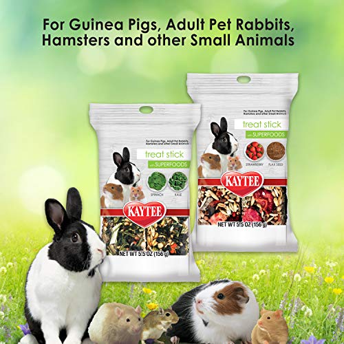 Kaytee Small Animal Treat Stick with Superfoods, Spinach & Kale, 5.5 oz - size: 5.5 Ounce (Pack of 1), style: Spinach & Kale
