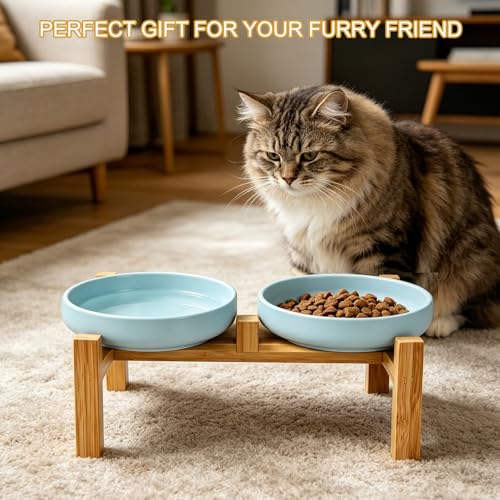 Shallow Elevated Cat Bowls with Bamboo Stand, 6.1 Inch Wide Ceramic Cat Dish Whisker Friendly, 2 Pack Pet Food and Water Plates - color: Sky blue elevated