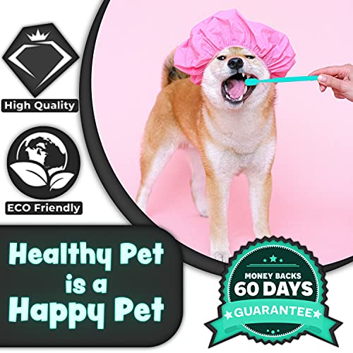 H&H Pets Toothbrush for Small Dogs & Cats - Soft and Extra Small Toothbrush Designed for Cats, Puppies, and XS Breed Dogs Like Teacups, Chihuahuas, Yorkshire, and Poodle, 4 Count Pack - size: 4 Count (Pack of 1)