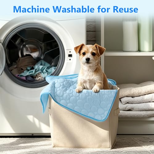 MCEAST Cat Cooling Mat 20" x 16" Self Cooling Pad for Smal Dogs Cats Non-Slip Cool-Chill Mats Summer Pet Blanket with Storage Bag Washable Cool Pet Pad for Floor Sofa Bed Car Travel, Small - size: Small