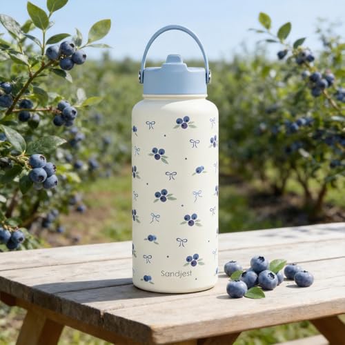 Blueberry Water Bottle Stainless Steel 32oz with Lid & Straw, Fruits Aesthetic Insulated Bottles Gifts for Girls Friends Teens Birthday Christmas - color: Blueberry