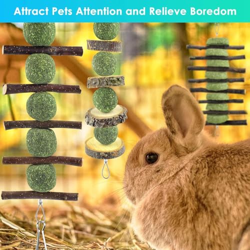ERKOON Bunny Chew Toys, Rabbit Chew Toys for Teeth Grinding, Improve Dental Health, 100% Natural Apple Wood Timothy Grass Cake Treats for Rabbits Guinea Pigs Chinchillas Bunnies Hamsters (9 Pcs) - style: 9 Pcs