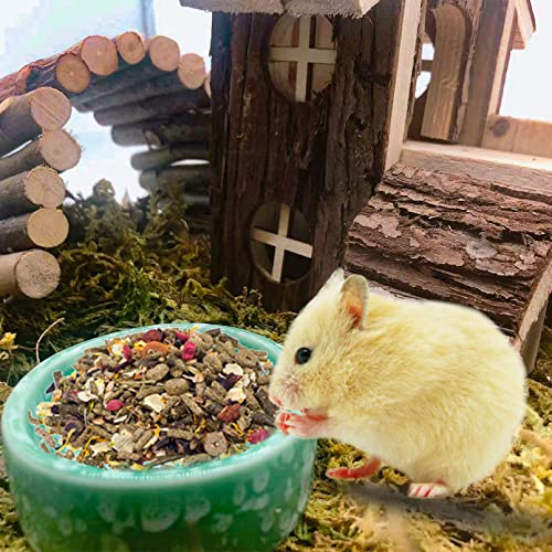 kathson 2 Pcs Hamster Food Bowl Guinea Pig Ceramic Water Bowl Small Animal Feeding Dish for Dwarf Hamster Gerbil Syrian Ferret Hedgehog Chinchilla Bunny (Green)… - color: Green, size: 2Pcs:S