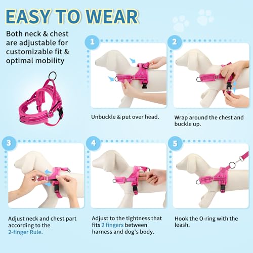 SlowTon No Pull Small Dog Harness and Leash Set with Front Clip | Soft Padded, Neck & Chest Adjustable, Lightweight, Anti-Twist, Puppy Vest Harness Pet Lead Combo for Small Medium Dog, FU XXS - color: Fuchsia, size: XX-Small