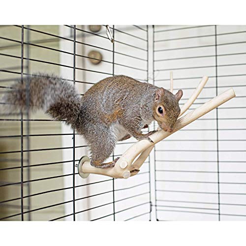 Multi-Branch Perch (Small) - Durable Natural Climbing Branch Perch Cage Accessory - Sugar Gliders, Squirrels, Prairie Dogs, Degus, Marmosets, Monkeys, Parrots, Birds, Rats, Reptiles, Amphibians