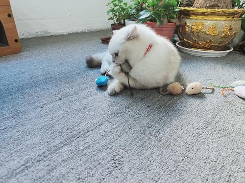 Andiker 8Pcs Cat Mouse Toys, Plush Catnip Toys Self-Play Soft Cat Mice Toy Catch and Bite to Kill Boring Time Interactive Kitten Toy for Indoor Cats and Kitten
