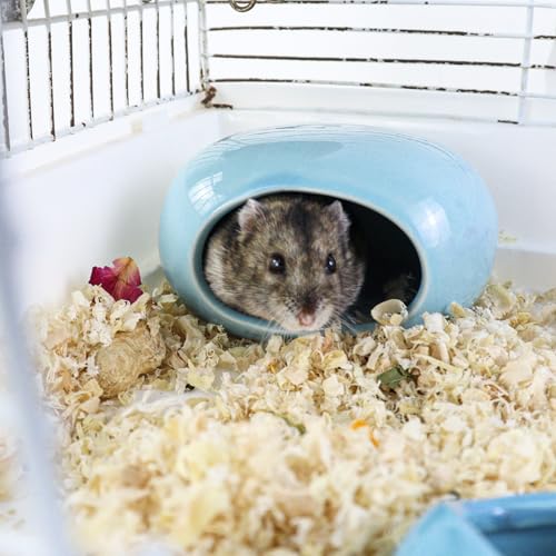 Ceramic Hamster Hideout, Cooling Hamster House All-Season Small Animal Cave, Easy to Clean Cave for Dwarf Hamsters, Gerbils, Mice (Blue) - color: Blue
