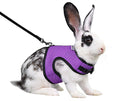 Niteangel Adjustable Soft Harness with Elastic Leash for Rabbits (XL, Purple) - color: Purple, size: XL