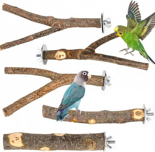 5PCS Natural Wood Bird Perch Set - Straight & Forked Branch Perches Cage Perches Accessories for Small Medium Birds, Parakeets, Budgies, Cockatiels, Conures - size: Essential Perch Bundle - 5PCS