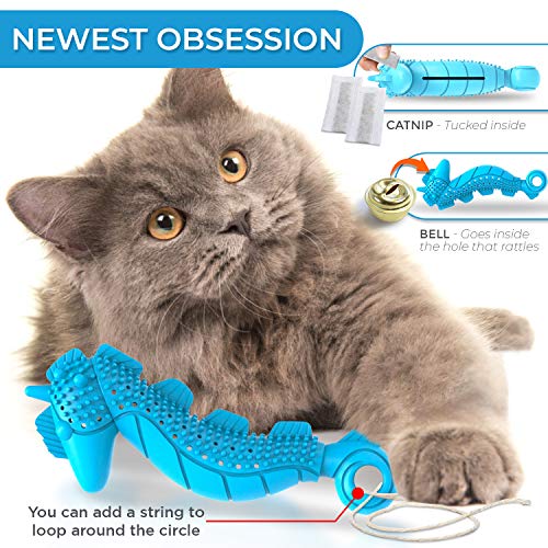 Ronton Cat Toothbrush Catnip Toy - Durable Hard Rubber - Cat Dental Care, Cat Interactive Toothbrush Chew Toy (1 Pack_Seahorse) - size: 1 Pack (Seahorse)