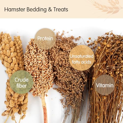 Fhiny Natural Hamster Bedding, Edible Hamster Sprays Flowers & Herbs Gerbil Habitat Enclosure Decor Grain Treats Cage Accessories for Dwarf Syrian Hamster Gerbil Mice Lemming Degus