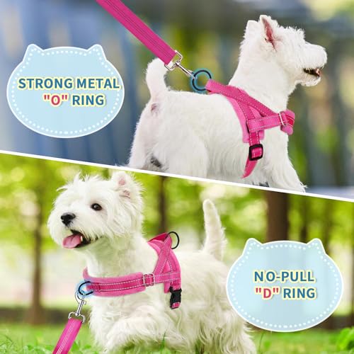 SlowTon No Pull Small Dog Harness and Leash Set with Front Clip | Soft Padded, Neck & Chest Adjustable, Lightweight, Anti-Twist, Puppy Vest Harness Pet Lead Combo for Small Medium Dog, FU XXS - color: Fuchsia, size: XX-Small