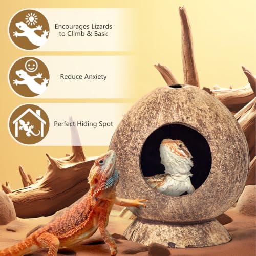 PINVNBY 2 Pcs Natural Coconut Shell Reptile Hideouts Crested Gecko Tank Accessories for Small Lizard Leopard Gecko Spider Snail Hermit Crab Hideout - size: High-Crowned Style, 2PCS
