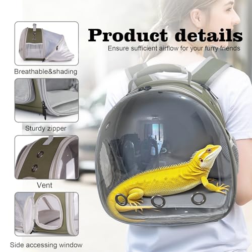 WEVONIGU Expandable Small Animal Backpack Carrier with Clear Bubble Window Large Space Travel Cage for Hedgehog Rat Parrot,Bearded Dragon,Sugar Glider,Airline Approved (Army Green, BE Backpack) - color: Army Green, size: 8.0"L x 7.0"W x 5.0"H