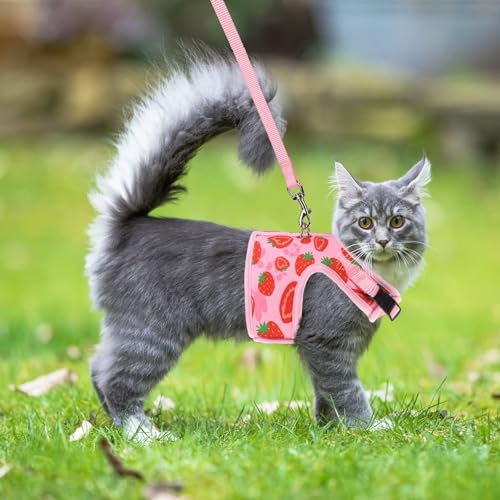 PUPTECK Soft Mesh Cat Vest Harness and Leash Set Puppy Padded Pet Harnesses Escape Proof for Cats Small Dogs Rabbits Bunny - color: Light Pink(Strawberry), size: S(NECK 6", CHEST 8.5", 2-4 lbs)