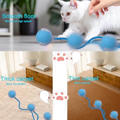 Interactive Cat Dog Toy Ball with LED Light, Automatic Rolling(Blue) | String Tail and LED Light Design, Motion Activated, Suitable for Interactive Indoor Pet Play and Exercise - color: Blue