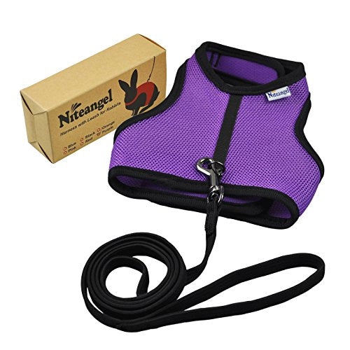Niteangel Adjustable Soft Harness with Elastic Leash for Rabbits (L, Purple) - color: Purple, size: L