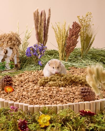 BUCATSTATE 90PCS Natural Hamster Bedding | Flowers & Herbs & Sprays for Cage Habitat Decor - Treat Cereal Grain for Dwarf Syrian Gerbils, Mice, Rat, Forage, Enrichment. - size: 98pcs