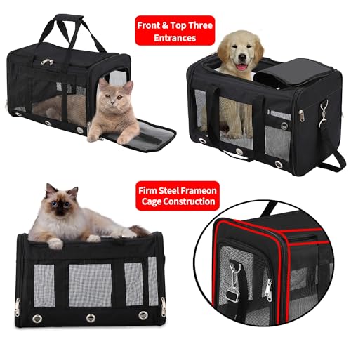 Soft Sided Cat/Dog Carrier,Collapsible Pets Travel Carriers for Pet/Puppy with Shoulder Strap & Removable Mat,Mesh Top Load Small Dogs/Cats Carry Bag Up to 17 Lbs TSA Airline Approved（Black,M） - size: 11.0"L x 11.0"W x 17.0"H