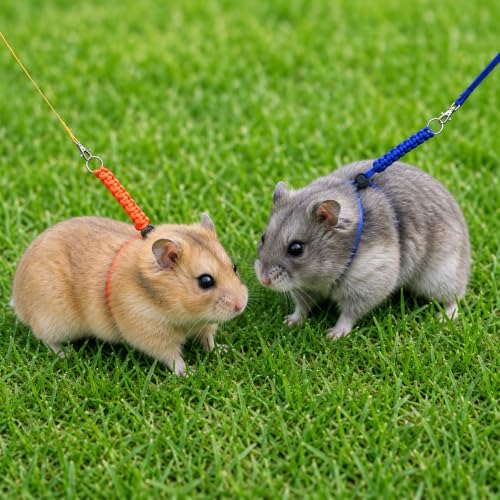 2 PCS Figure 8 Harness and Leash for Small Animals | Harness for Kittens Ferrets Rabbits Guinea Pig Chinchilla and Hamster (Blue+orange)