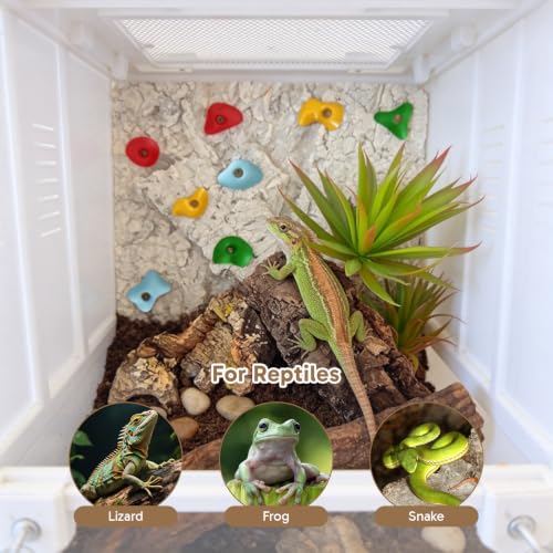 13PCS Bearded Dragon Toys, Set Including 1 Turtle Feeder Ball, 2 Bells Exercise Balls, 10 Climbing Stones,Interactive Toys for Reptile Tank, Lizard and Gecko Play