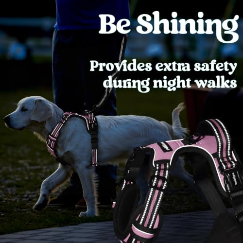 rabbitgoo Dog Harness Small Sized, Updated Easy On & Off with 3 Buckles | No Pull No Choke, Walking with 2 Clips and Handle, Adjustable Soft Reflective, Pink, Small - color: Pink, size: Small