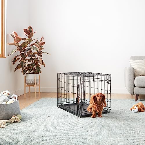 Amazon Basics Portable, Foldable Metal Wire Dog Crate with Removable Tray, Single Door, Divider Panel, Quick Setup, 30 x 19 x 21 in, Black - size: 30.0"L x 19.0"W x 21.0"H, style: Single Door w/ Divider
