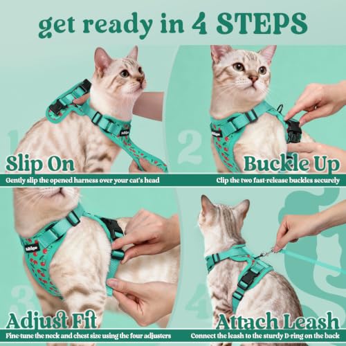 rabbitgoo Cat Harness and Leash Set, Escape Proof Vest, Cherry Grove | Soft Breathable Mesh, Easy Adjustable Fit, Snap Buckles, Sturdy Clip, Reflective Strips, for Kittens & Small Cats Walks, Xxs - color: Cherry Grove, size: Xxs