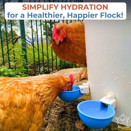 Lil Clucker - Blue Large Automatic Chicken Waterer Cups Suitable for Ducks, Geese, Turkeys, and Bunny Rabbit - Water Feeder Kit - Poultry Waterer - Pack of 12 - size: 12-Pack