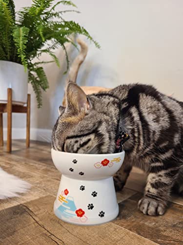 Necoichi Ceramic Raised Cat Food Bowl, Whisker-Friendly (Fuji, Large Flat) - color: Fuji, size: Large