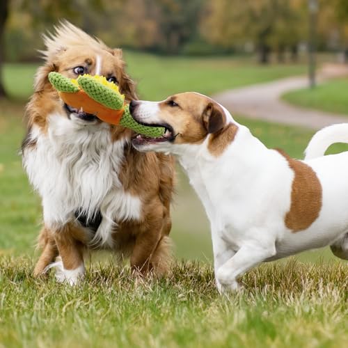 Squeaky Dog Toys, TPR Shell Chew Toy, Soft Plush Buddy, 9.45" | Dual-Action Playmate, Chew and Cuddle