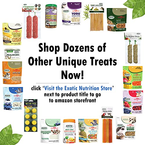 Exotic Nutrition Omega YUMS Fish Stick Treat for Sugar Gliders | All Natural Strips Made with Real Fish (0.6 oz) - size: 0.6 Ounce (Pack of 1)