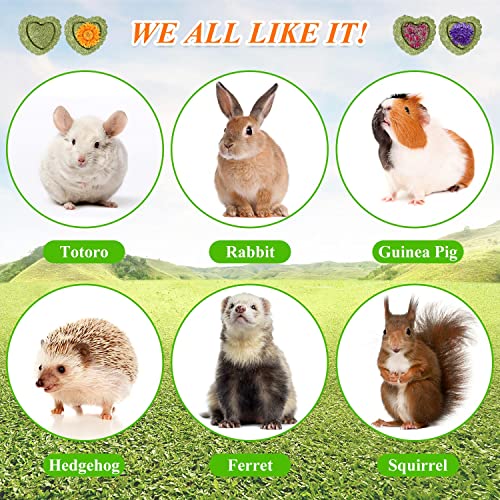 20PCS Bunny Chew Toys for Bunny's Teeth Organic Timothy Hay Cakes | Rabbit Toys for Bunny's Teeth, Rabbits, Chinchilla, Hamster, Guinea Pig Reliable Rabbit Chew Toys for Teeth