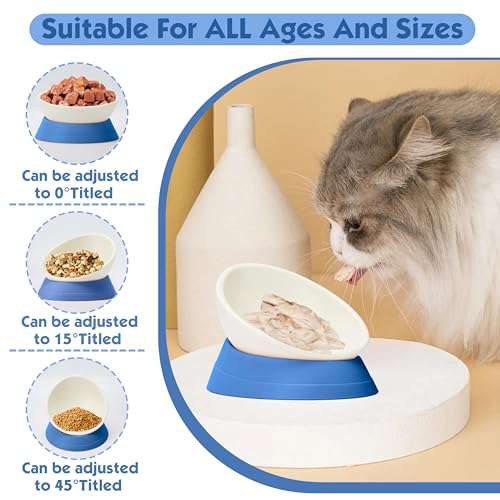 French Bulldog Food Bowl- Slanted Tilted Pug Food Water Bowl,Cat Bowl- Feeder for Frenchie/Shih Tzu/Flat Faced Small Dogs/Puppies/Cats (Blue, 4 Cup) - color: Blue, size: 4 Cup