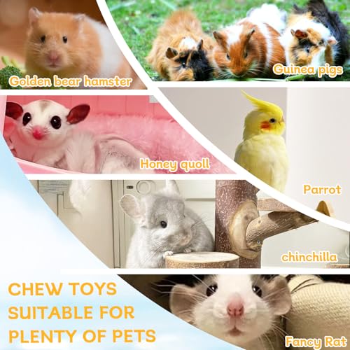 Hamiledyi Hamster Wood Ledge Platform with Lava Stone Block Chew Toys, Rest Shelf for Gerbil Mouse Rat Parakeets Budgie - style: Style C