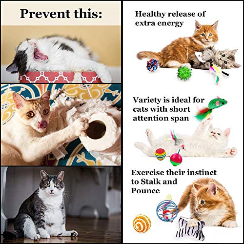 CoCoo Ferret & Cat Toy Variety Pack, Activity Set of Mylar Balls, Chew Toys, Catnip Pouches, Play Mice & Bells, Great for Persians, Maine Coons, Calicos & Tabby Cats, 20 Pcs