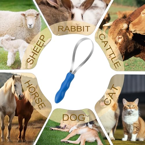 Dual-Sided Shedding Blade Dog Hair Brush - Stainless Steel Grooming Tool for Horses, Cattle, Sheep with Comfort Grip - Fine & Coarse Teeth for Long and Short Hair（2 Pcs）