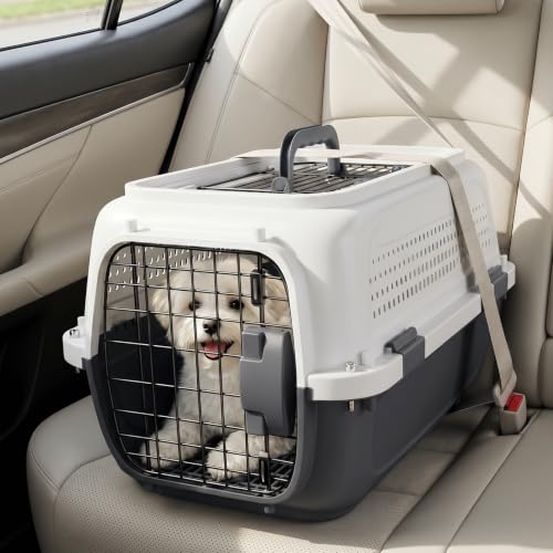 Magshion 22 Inch Hard-Sided Dog Cat Carrier, Grey | Top&Front Door Access, Plastic Dog Kennel for Traveling, Durable Handle, Ventilation, Detachable Pet Bowl, For Pet Up 26 lbs - size: 22.0"L x 14.5"W x 15.0"H