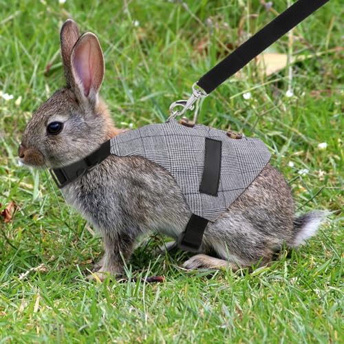 Rabbit Vest Harness and Leash Set Adjustable Formal Suit Style for Bunny Kitten Small Animal Walking (L) - size: L