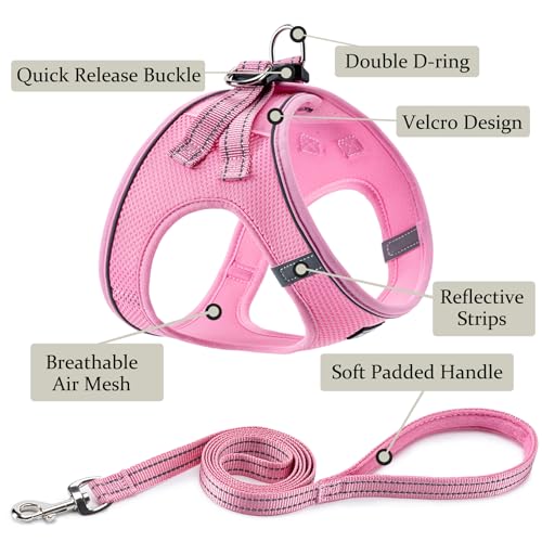 BOOMIBOO Dog Harness with Leash Set, No Pull Adjustable Reflective Step-in Puppy Pet Vest Harnesses for Small Medium Large Dogs and Cats,Pink XXS | Lightweight Breathable Air Mesh, Night Safety Reflective - color: Pink, size: XXS(Chest:10"-12")
