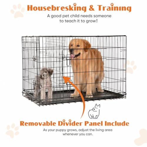 Dog Crate Kennel, 42 Inch Metal Pet Cage Double Door W/Divider Panel, Folding Travel Indoor Outdoor Dog Kennel Leak-Proof Plastic Tray Wire Animal Cage - size: 28.0"L x 28.0"W x 42.0"H