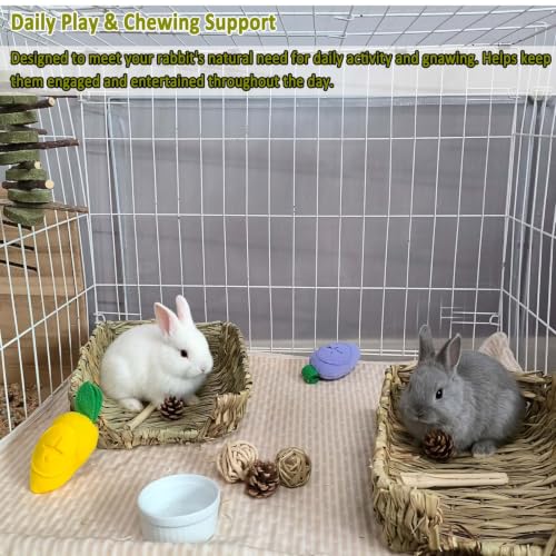 Bunny Grass Bed Mat 22Pcs Rabbit Chew Toys Set Hand-Made Woven Hay Mat | Wood&Bamboo Sticks and Timothy Grass Cake&Ball,Small Animals Teeth Grinding Chew Treat Toy for Guinea Pig - size: 22pcs