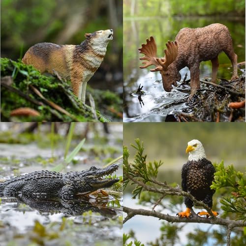 Toymany 12PCS North American Forest Animal Figurines, Realistic Jungle Zoo Animal Set Includes Moose,Cougar,Wolf,Bear,Eagle,Deer Educational Toy Cake Toppers Christmas Birthday Gift for Toddlers - style: North American Animals