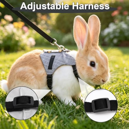 Hypeety Multipurpose Rabbit Vest Harness and Leash Set Adjustable Soft Vest | Breathable and ligthtweight vest, escape-proof buckles, adjustable neck and chest, for bunnies/kittens, formal suit style, S - size: S