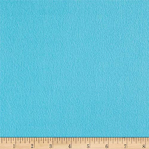 Polar Fleece Solid Turquoise, Cut by the Yard - color: Turquoise, size: Yard