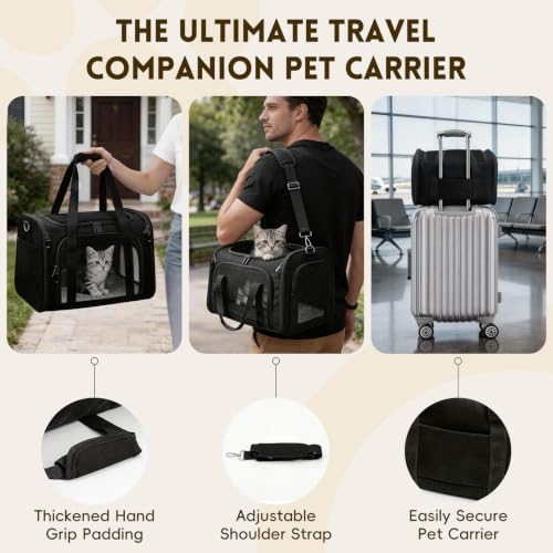Cat Carrier Soft, Dog Carriers for Small Dogs/Large Cats (Up to 16lbs), with High Breathability, Shoulder Strap, Removable Pad, Pet Carrier Airline Approved, for Home Outdoor Travel (Black) - color: Black