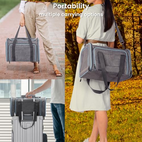 Petsfit Large Double Expandable Cat Carrier for Large Cats and Small Dogs | 19 x 12 x 12 in; dual-side expansion for large cats and small dogs, with anti-sag frame and locking zippers; up to 18 lb. - color: Light Grey, size: 19"L x 12"W x 12"H
