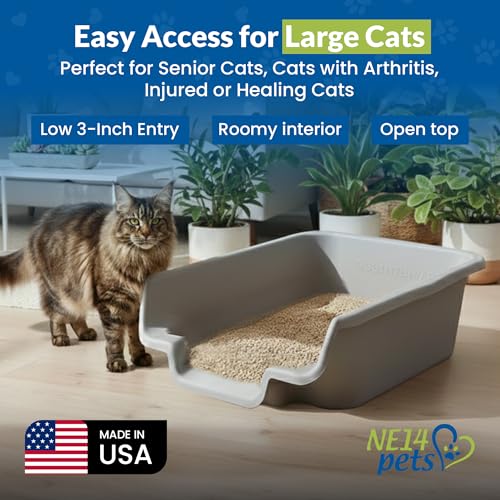 KittyGoHere Senior Cat Litter Box, Jumbo Litter pan, Open Top Low Entrance Kitty Litter Box, Lightweight Low Entry Litters Box, Durable, Made in USA (2 Pack - Misty Gray) - color: Misty Gray, size: Jumbo(2 Pack)