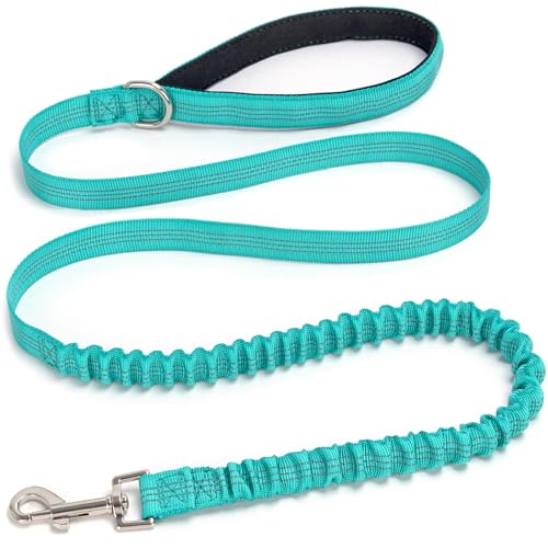 5FT Bungee Dog Leash Shock Absorbing Reflective Small Medium Dogs | Nylon Lightweight Leash- 2cm Wide- Anti- Pull Training- 6 Colors (Turquoise) - color: Turquoise